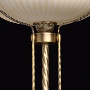 Торшер MW-Light Афродита 1 317040901 в Шадринске - shadrinsk.mebel24.online | фото 6