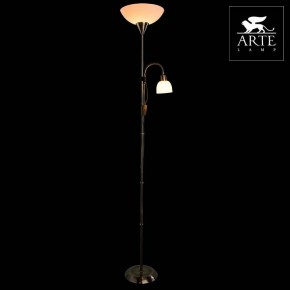 Торшер с подсветкой Arte Lamp Duetto A9569PN-2AB в Шадринске - shadrinsk.mebel24.online | фото 3