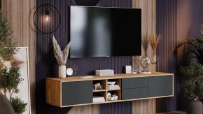 Тумба под ТВ Тип 5 в Шадринске - shadrinsk.mebel24.online | фото 6