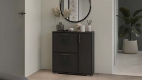 Тумбочка для обуви Тип 15 в Шадринске - shadrinsk.mebel24.online | фото 5
