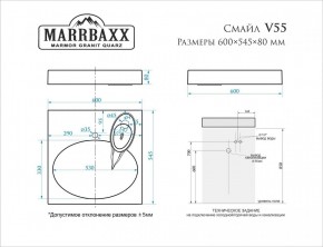 Умывальник над стиральной машиной (600*545*80) Смайл V55D1 (белый) с кронштейном без сифона (V55D1) в Шадринске - shadrinsk.mebel24.online | фото 2