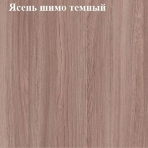 Вешалка для одежды (Ясень шимо темный) в Шадринске - shadrinsk.mebel24.online | фото 2