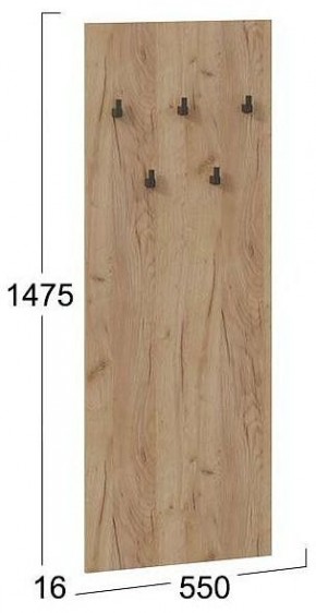 Вешалка настенная Хилтон Исп.2.1 в Шадринске - shadrinsk.mebel24.online | фото 4