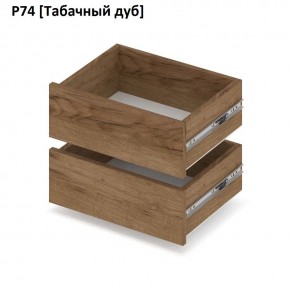 РОЛАНД Выдвижные ящики  Р76 в Шадринске - shadrinsk.mebel24.online | фото 10
